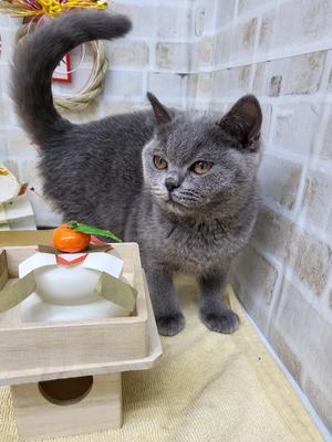 家族決まりました