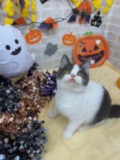 家族決まりました