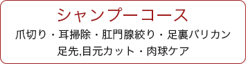 couce01.gif